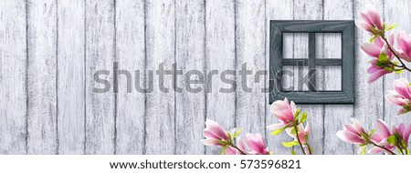 Magnolia flowers on background of shabby wooden wall and window in rustic style. Celebratory interior.