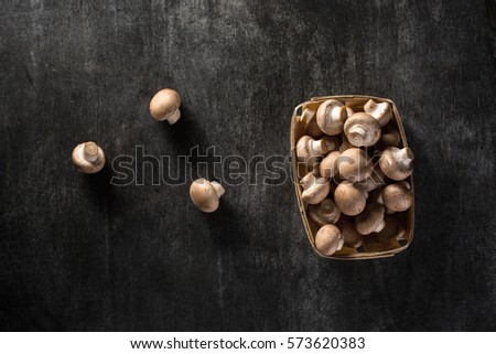 Top view picture of a mushrooms over dark background