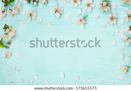 Beautiful Spring background with white cherry flower on Wooden light blue texture. Springtime. Top view. Flat lay. Card for Easter, Mothers day, birthday, wedding. Horizontal Wallpaper With Copy Space