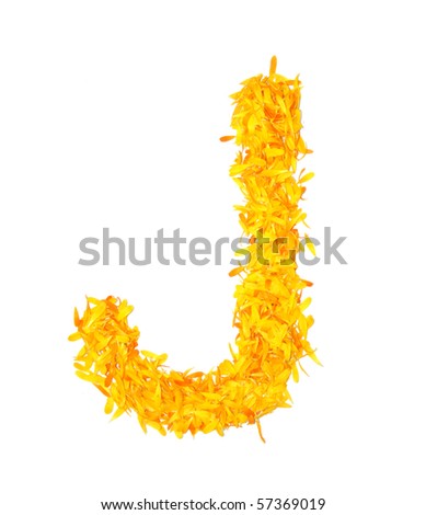 flower alphabet isolated on white