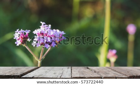 Verbena bonariensis flowers field (blur image) with selected focus empty wood table for display your product