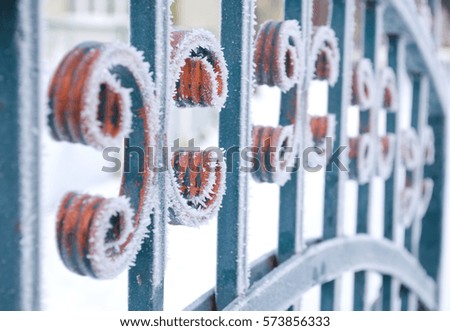 Winter landscape with iron fence. Decorative colored metal wrought fence. Winter day. Photo close-up.