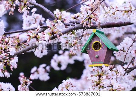 Colorful yellow, green and brown birdhouse with butterfly on tree branch with spring flowers; springtime and Mothers Day background with copy space