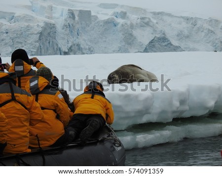 Group of tourists taking pictures of a seal resting on an iceberg. Antarctic Peninsula