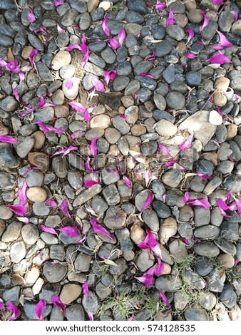 Flower petals on the ground filled with rocks.