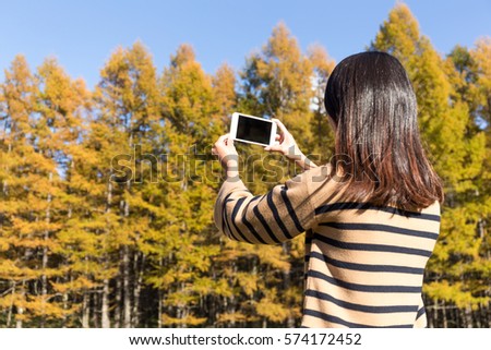 Woman take photo by mobile phone in autumn forest