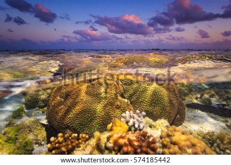 A split image showing coral reef under the water with a purple sunset in the background Royalty-Free Stock Photo #574185442