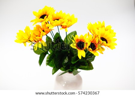 Yellow sunflower on white background.