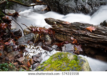 stunning landscapes close up of satin soft river with rocks and dead trees flowing in forest in autumn scenery