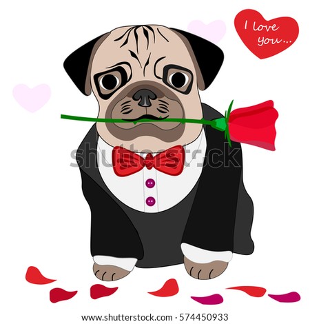 pug with a rose picture Valentine's Day