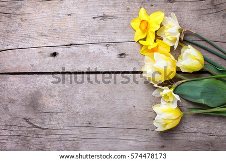 Yellow tulips and daffodils flowers  on vintage wooden background. Selective focus. Place for text.
