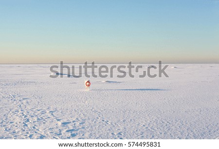 dog wallking on the frozen gulf