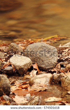 great wonders of nature - still life of autumn - winter season with dead leaves and rocks lying in water - zen scenery