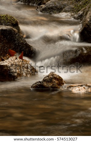 great wonders of nature - still life of winter season with dead leaves and rocks lying in water - zen scenery