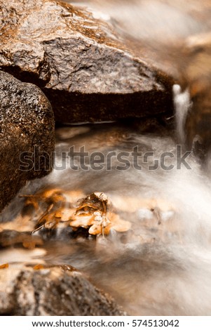 great wonders of nature - still life of winter season with dead leaves and rocks lying in water - zen scenery