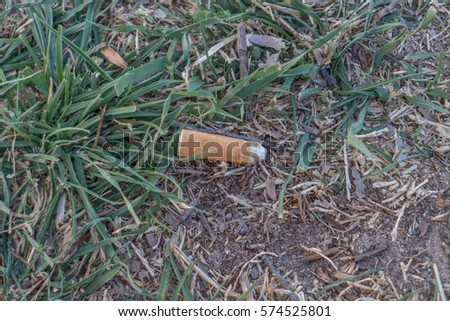 The butt of a cigar lying on the grass