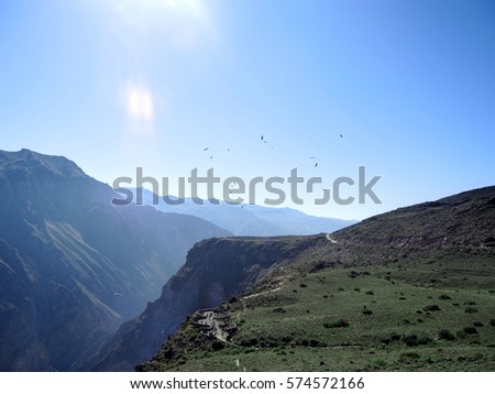 the Cruz Del Condor viewpoint, Colca canyon, Peru