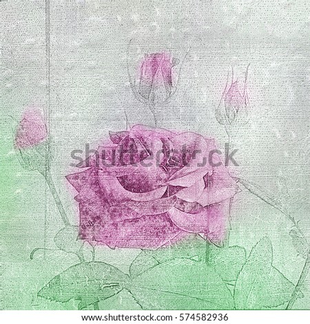 Beautiful hand drawn rose on the cement wall. Background for design