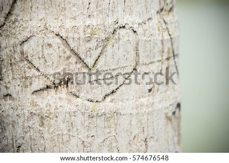 The tree is engraved the love heart