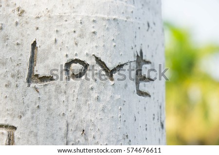 The tree is engraved the word love