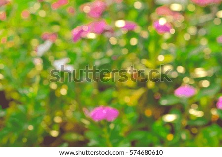 Colorful bokeh and blurred nature background
