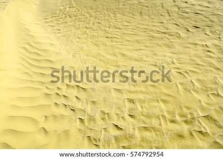 Khaki color. Natural texture and background of the desert. Sand patterns