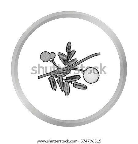 Yellow mimosa flower icon in monochrome style isolated on white background. Australia symbol stock vector illustration.