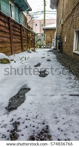 Footprints on Snow - Backyard in the Neighborhood - Vancouver - Canada