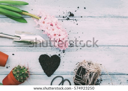 Workspace, Planting spring flowers. Garden tools, Hyacinth and plants in pots on a flat wooden background. Gardening decoration
