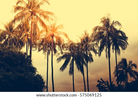 Silhouette coconut palm trees with sun light on sunset sky background. Travel concept. Photo from Kabi, Thailand. Vintage colors and boost up color processing.