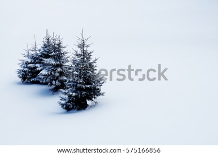 Tree on a background of white snow