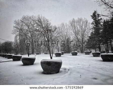Winter landscape snowing in park outdoor urban scenery with trees with snow and snowflakes 