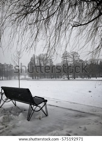 Winter landscape snowing in park outdoor urban scenery with frozen lake trees with snow and snowflakes and bench