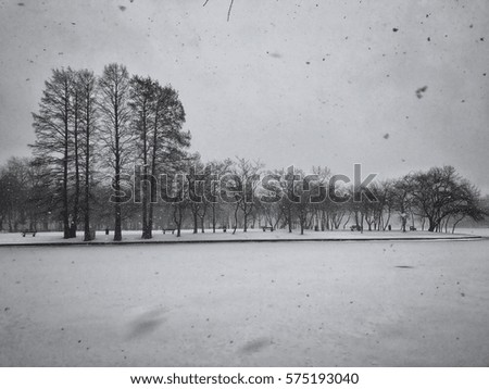 Winter landscape snowing in park outdoor urban scenery with frozen lake trees with snow and snowflakes 