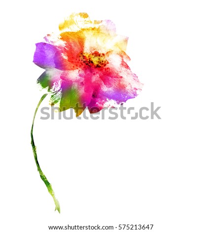 Watercolor flower on white