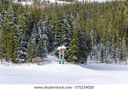 winter mountain landscape. Frozen lake with trees covered with snow in the background