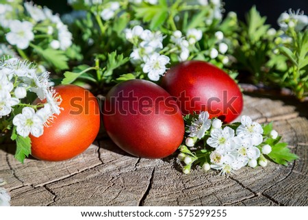 Easter eggs Grey stump Wooden background Spring time Hawthorn flowers 