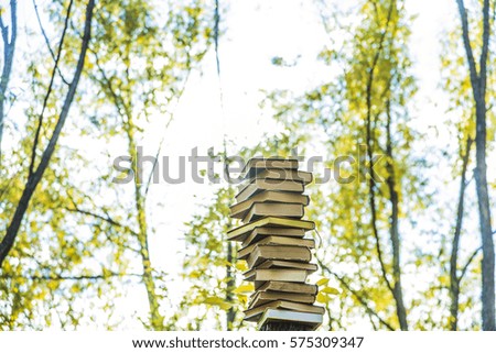 Picture of a pile of books, shot outdoors under clear sky with bright sunlight. Books on autumn green and yellow forest , close up. Sun rays, sunny day. 