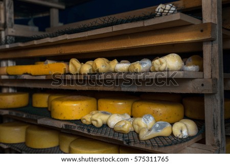 cheese at the dairy, cheese is ripen on wood racks