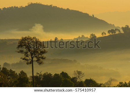Wild mountain mist morning light in thailand