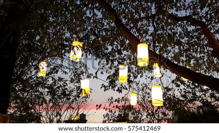 light of  paper lantern decorating on tree at night