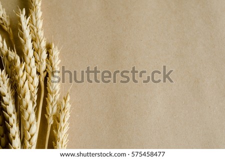 Wheat ears on craft paper background 