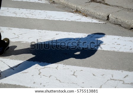 shadow of someone crossing a zebra