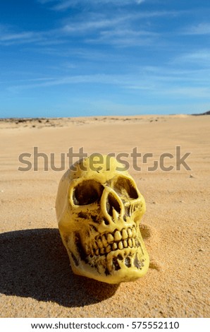 Conceptual Photo Picture of a Human Skull Object in the Dry Desert