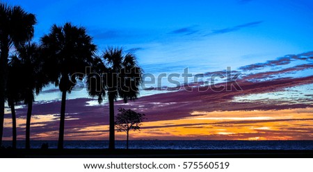 Early morning sunrise with palm trees