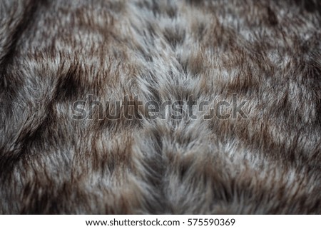 shaggy gray-brown fur, full frame natural background. Fur texture close up. 