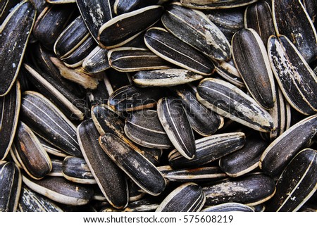 Sunflower seeds. Sunflower seed texture as background. Black and white roasted organic seeds. Food photography in studio.
