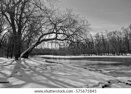 Wide view of trees leaning over a river in Labarriere Park, Manitoba