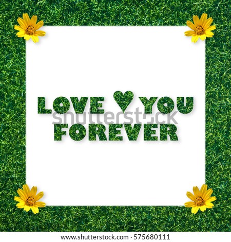Green grass frame isolated on white background with little yellow flower and grass text massage I love you forever, valentine concept.