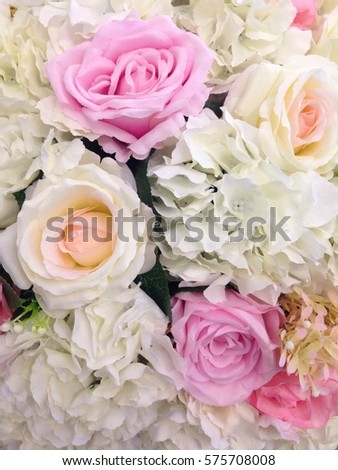 Soft color Roses Background
